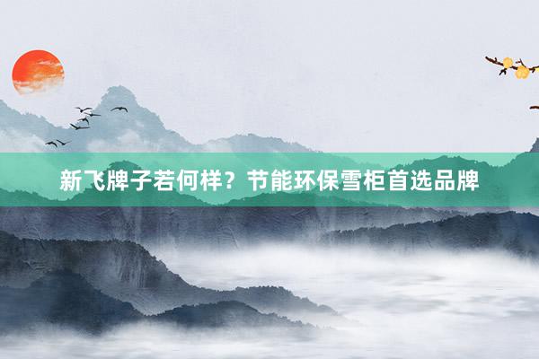 新飞牌子若何样？节能环保雪柜首选品牌