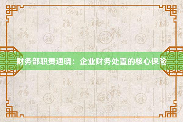 财务部职责通晓：企业财务处置的核心保险