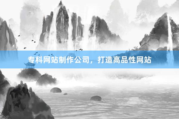 专科网站制作公司，打造高品性网站
